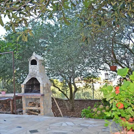 Leone * スラティネ