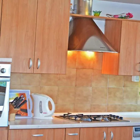 Leone スラティネ