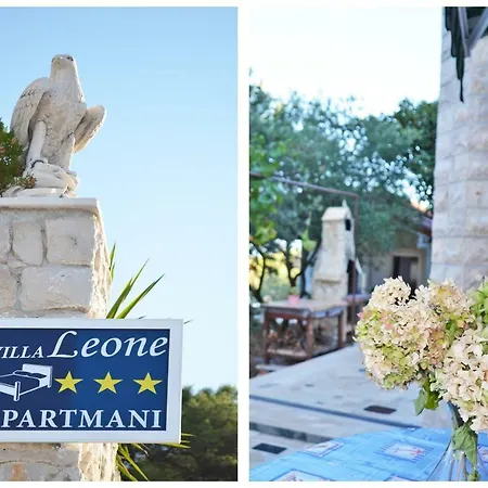 Leone * スラティネ