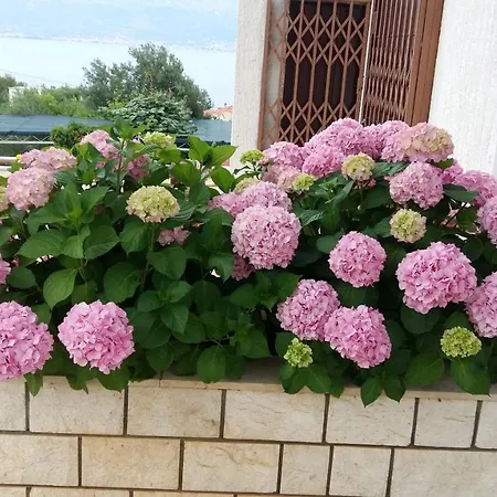 Apartman Leone