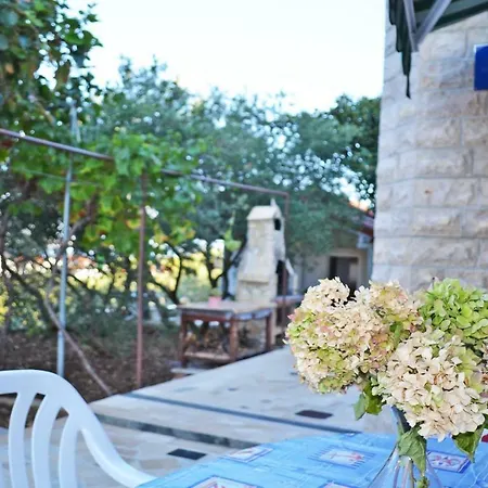 Apartman Leone *